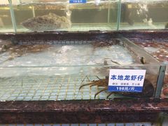 -新海利海鲜城·41年珠海老字号(夏湾店)