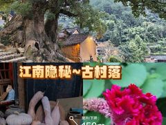 -杨家堂村