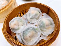 碧绿菠菜饺-顺德人家食府(黄金广场店)