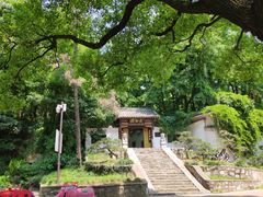 -团城山公园