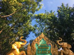 -西双版纳傣族园