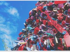 -帽儿山国家森林公园