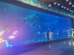 -烟台海昌鲸鲨海洋公园