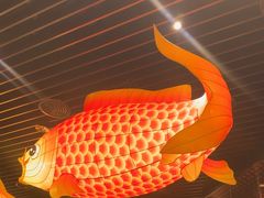 -肥福排档(星光店)