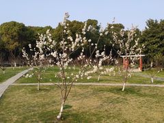 -新洲生态园