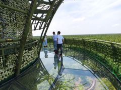 -黄海国家森林公园