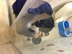 -大宅设计设计店铺(浦东店)