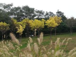 -大望京儿童游乐场