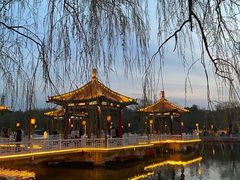 -长春市南湖公园