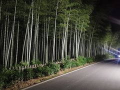 -天目湖御水温泉·度假酒店