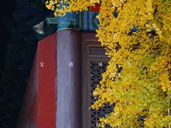 -宝通禅寺