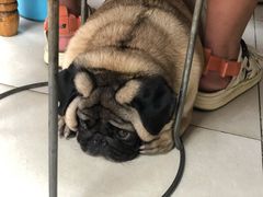 -双冰面馆(茶南店)