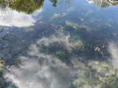 -成都市活水公园