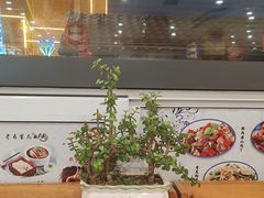 -大清花饺子(山庄店)