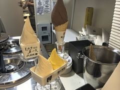 -野人先生现做冰淇淋(北京环宇荟店)