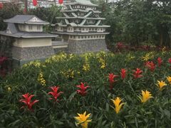 -南宫温泉水世界