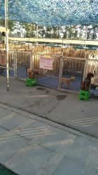 -萌宠亲子动物乐园(槐房万达店)