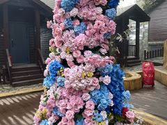 -秦岭天竺山生态文化旅游景区