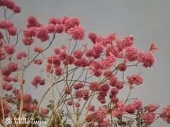 -飞翔公园(地铁站)