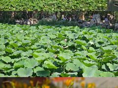 -莲池书院博物馆