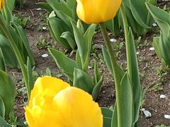 -长春公园(普阳街道)