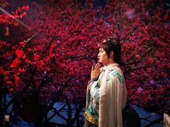 -武汉杜莎夫人蜡像馆