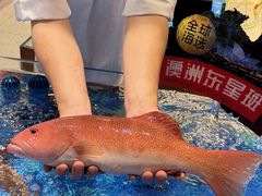 -喜宴又一村·粤菜·茶点·海鲜(壹方天地店)