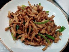 XO酱爆白玉菇虾仁-大树餐厅(红旗街万达店)