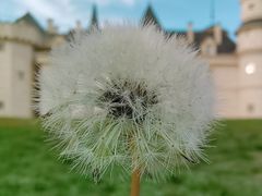 -北京张裕爱斐堡酒庄