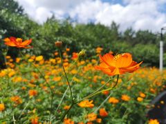 -长春公园(普阳街道)