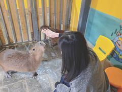 -太阳岛度假酒店