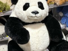 -KKV(深圳宏发大仟里店)