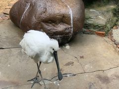 -杭州野生动物世界
