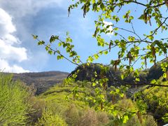 -白草畔自然风景区