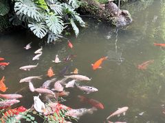 -南昌动物园