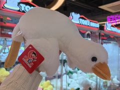 -汤姆熊欢乐世界(正大店)