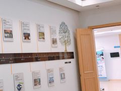 -上海大学附属上海和平眼科医院