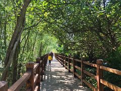 -东寨港红树林旅游区