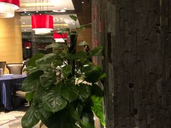 -青岛富力艾美酒店-乐美中餐厅创意胶东菜