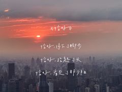-上海柏悦酒店