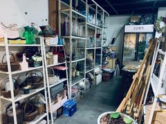 -蓝山四季西餐植物店