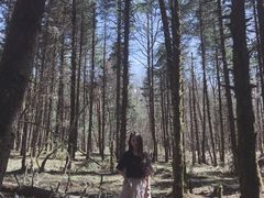 -石棉县孟获城