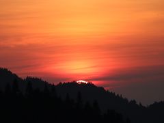-紫鹊界梯田景区