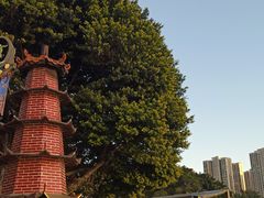 -仓山金山寺