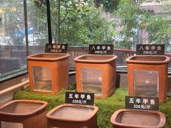 -王捌小院(红花坡店)