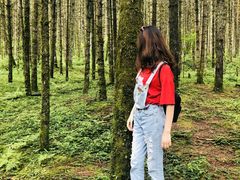 -石棉县孟获城