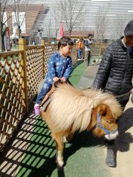 -萌宠亲子动物乐园(槐房万达店)