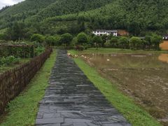 -井冈山风景名胜区