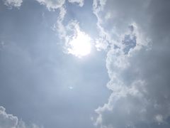 -空中草原
