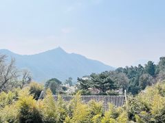 -潭柘寺景区
